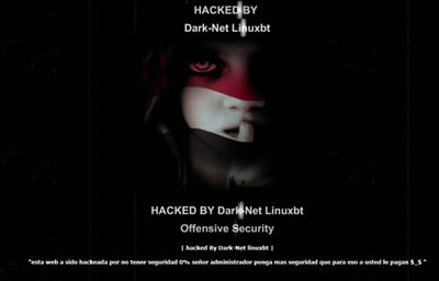 Sitio web tomado por hackers